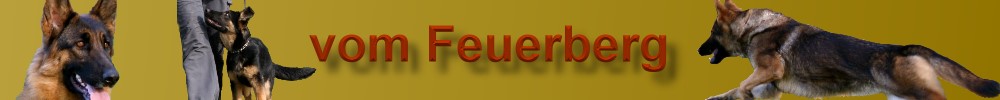 Banner Feuerberg